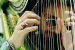 Jameson Whiskey - Harpist